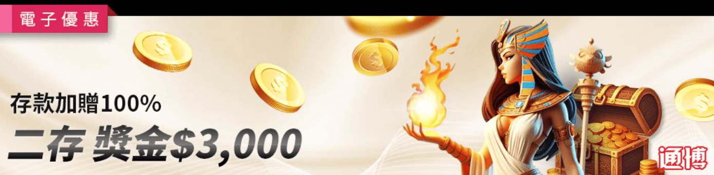 電子限定二存100%